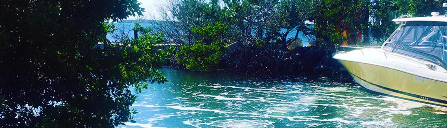 Key Largo Replacement Bubble Curtain